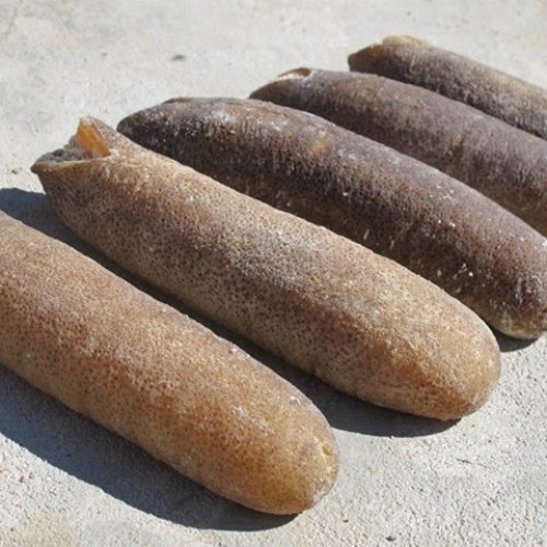 Dried Sea Cucumber